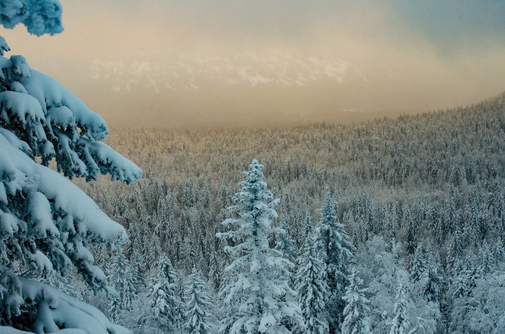 Photograph by Андрей Баталов