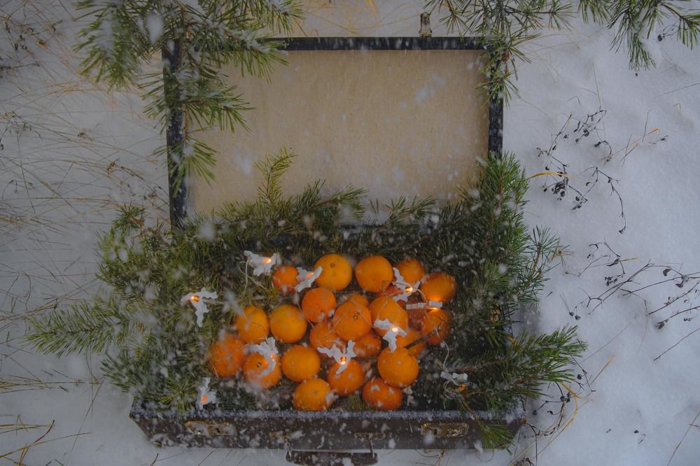 Photograph by Юлия Сомова