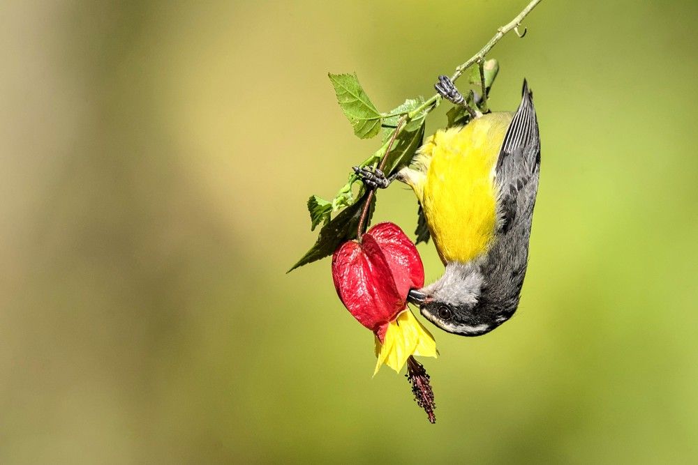 Photograph by Eduardo Bom