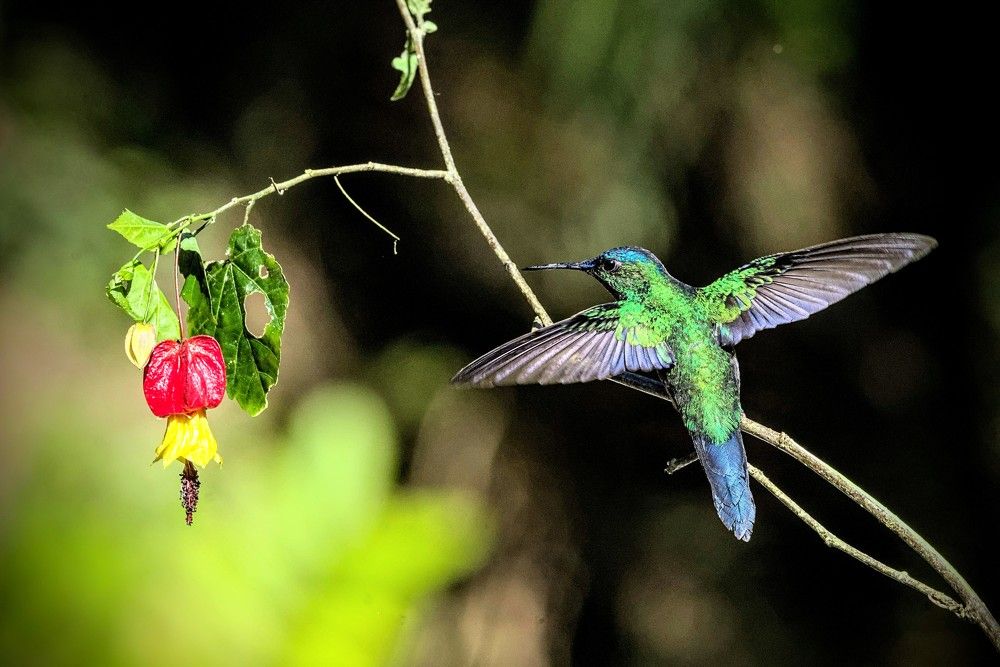 Photograph by Eduardo Bom