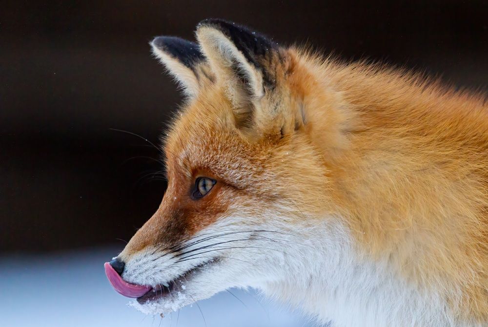 Photograph by Сергей