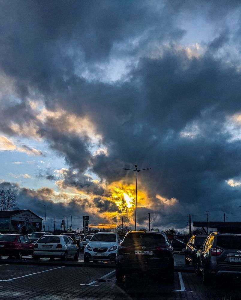 Фотография автора Ксения Шляйхер