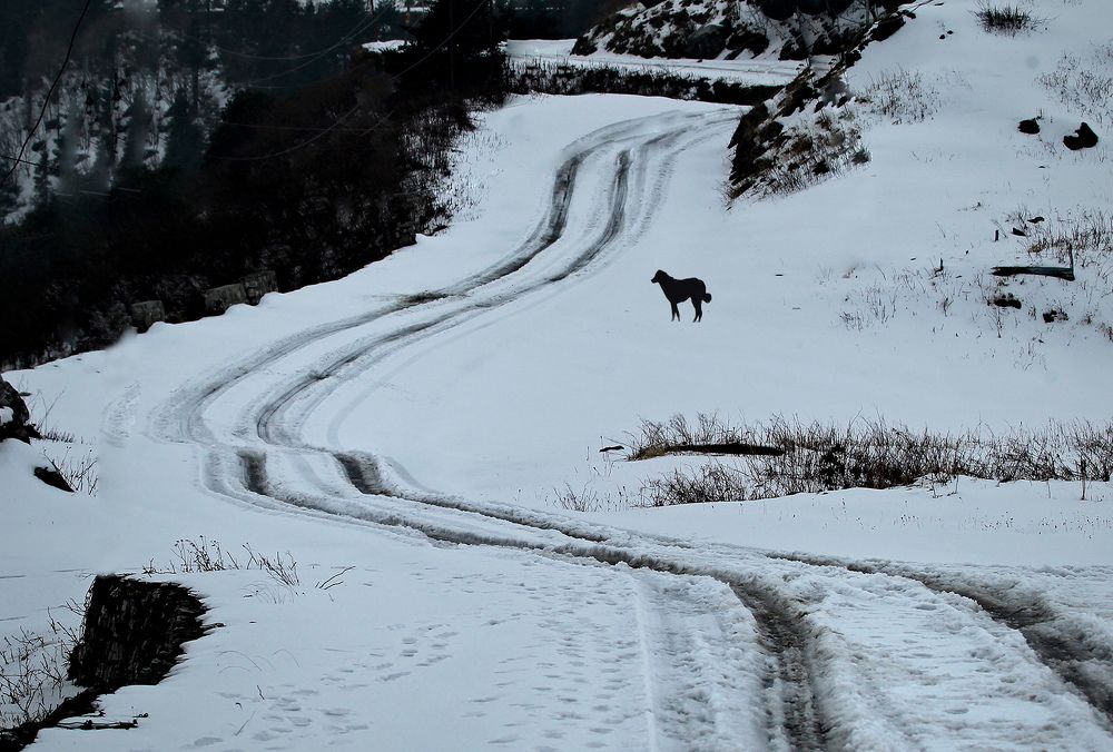 Photograph by Shibram Nag