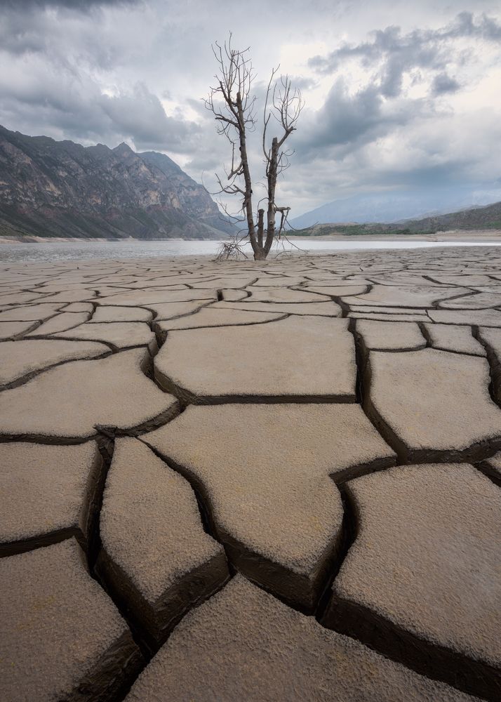 Фотография автора Kaznov Stanislav