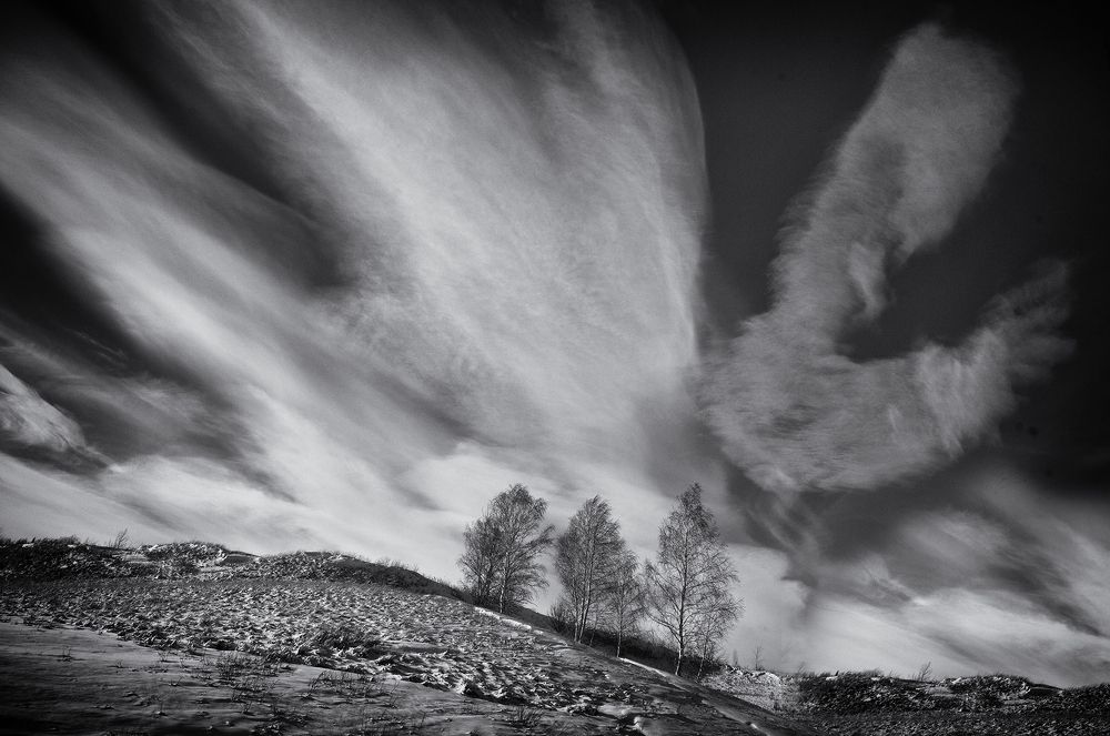 Photograph by Тамара Андреева