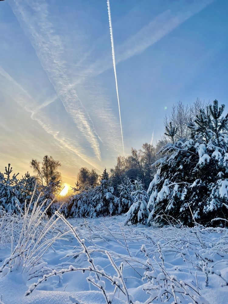 Photograph by Николай