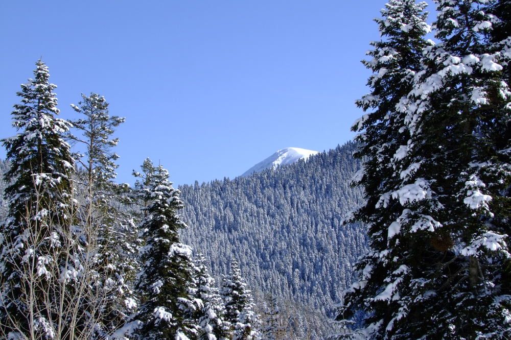 Photograph by Cengiz Yalcin