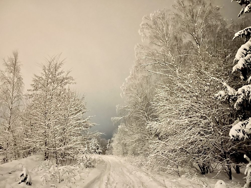 Photograph by Николай