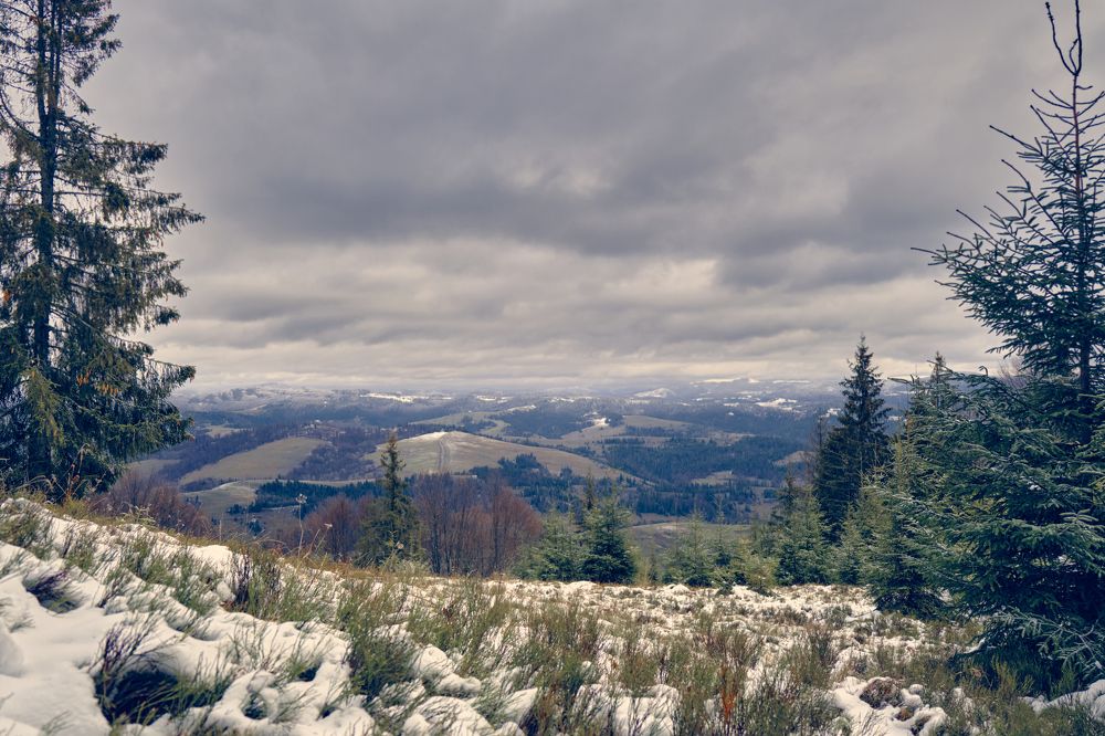 Photograph by Александр Серняк