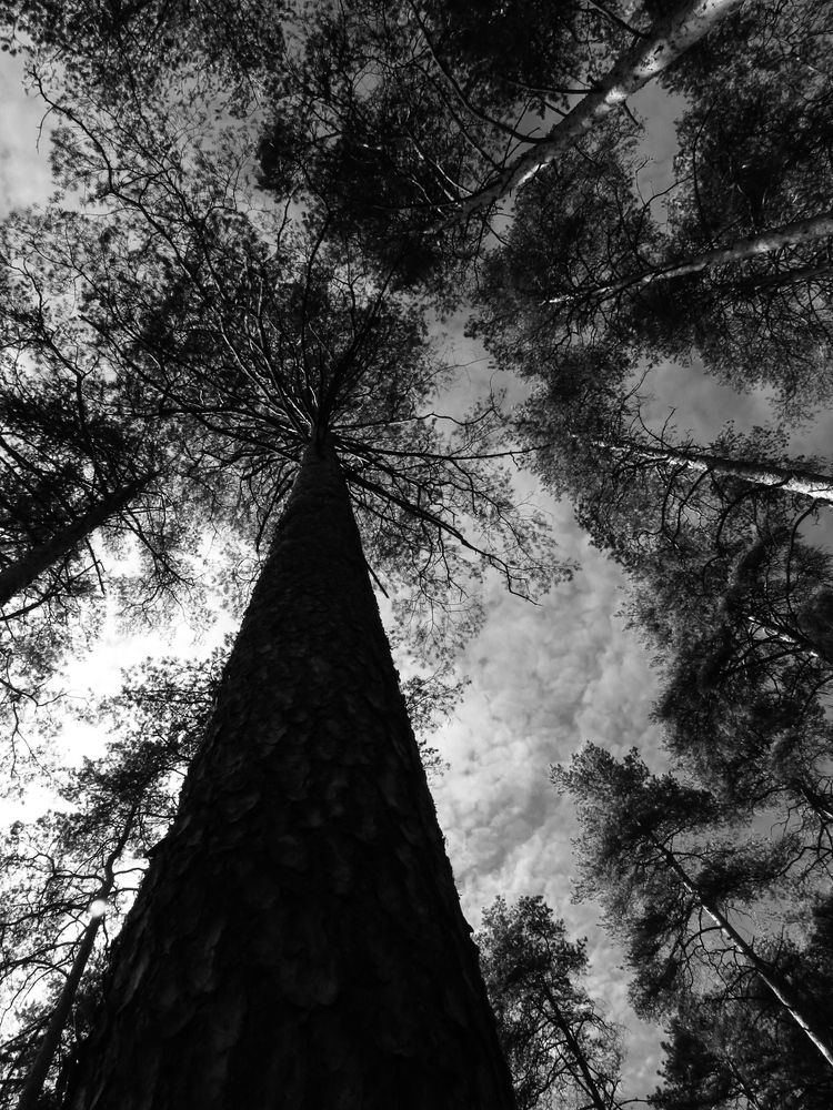 Photograph by Дарья Макаревич