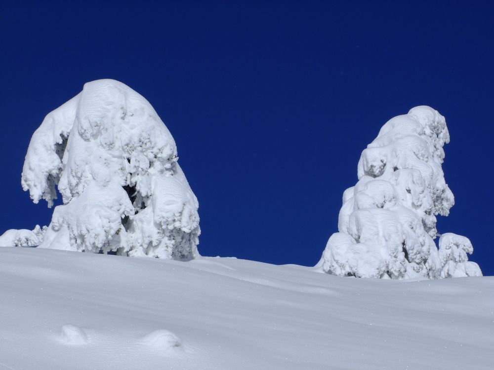 Photograph by Cengiz Yalcin