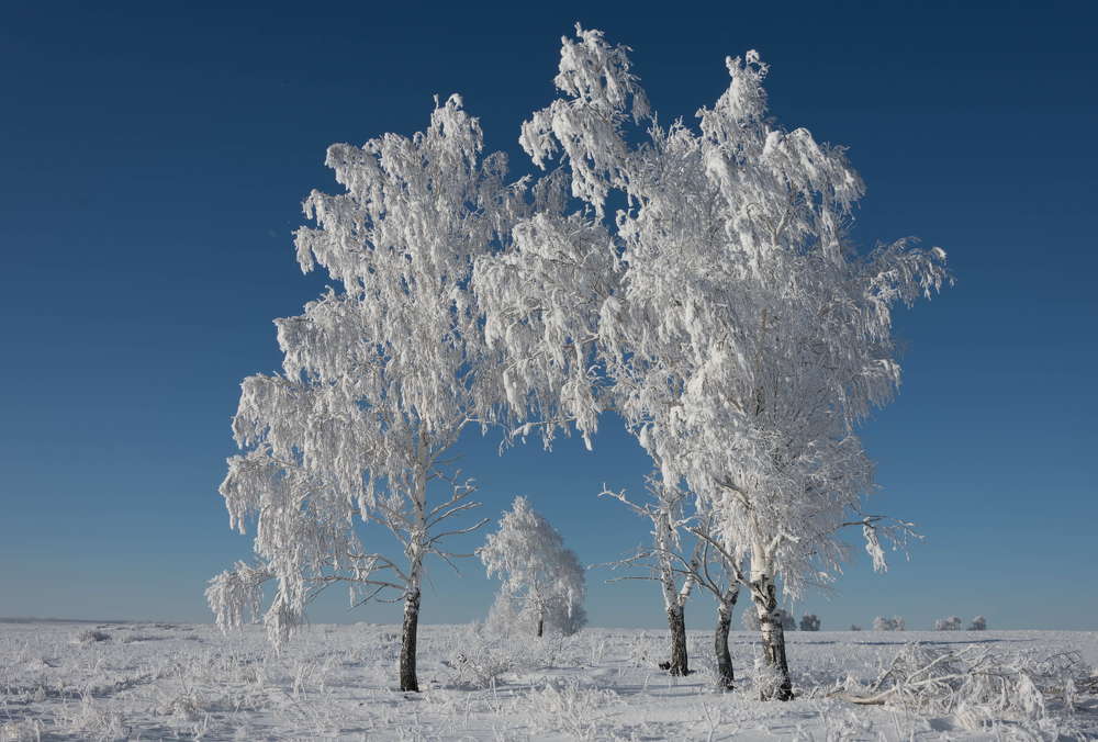 Photograph by Наталия Брянцева