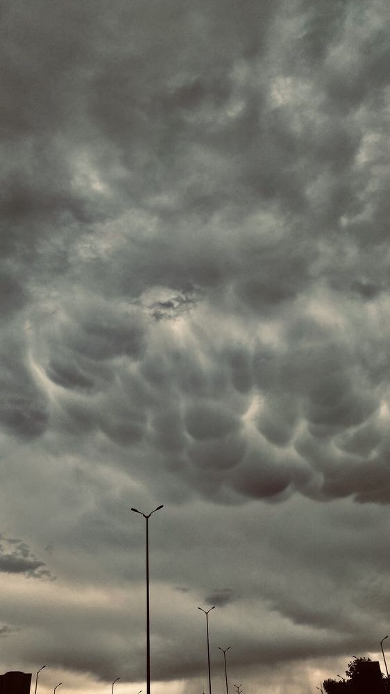 Фотография автора shima tabatabai