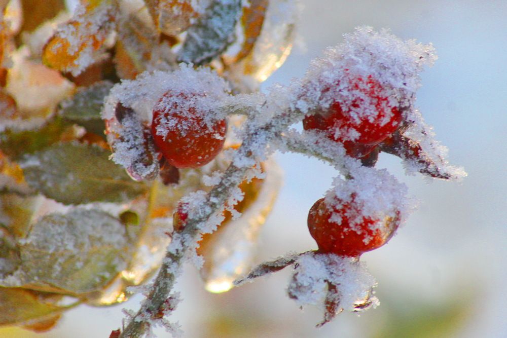 Photograph by Николай Николаевич Леухин