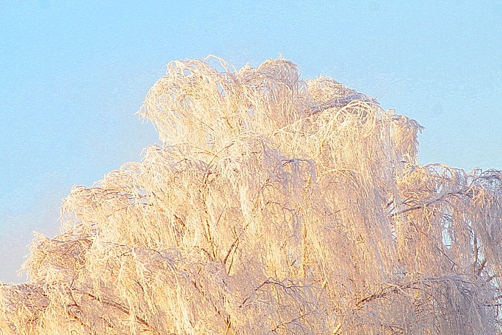 Photograph by Николай Николаевич Леухин