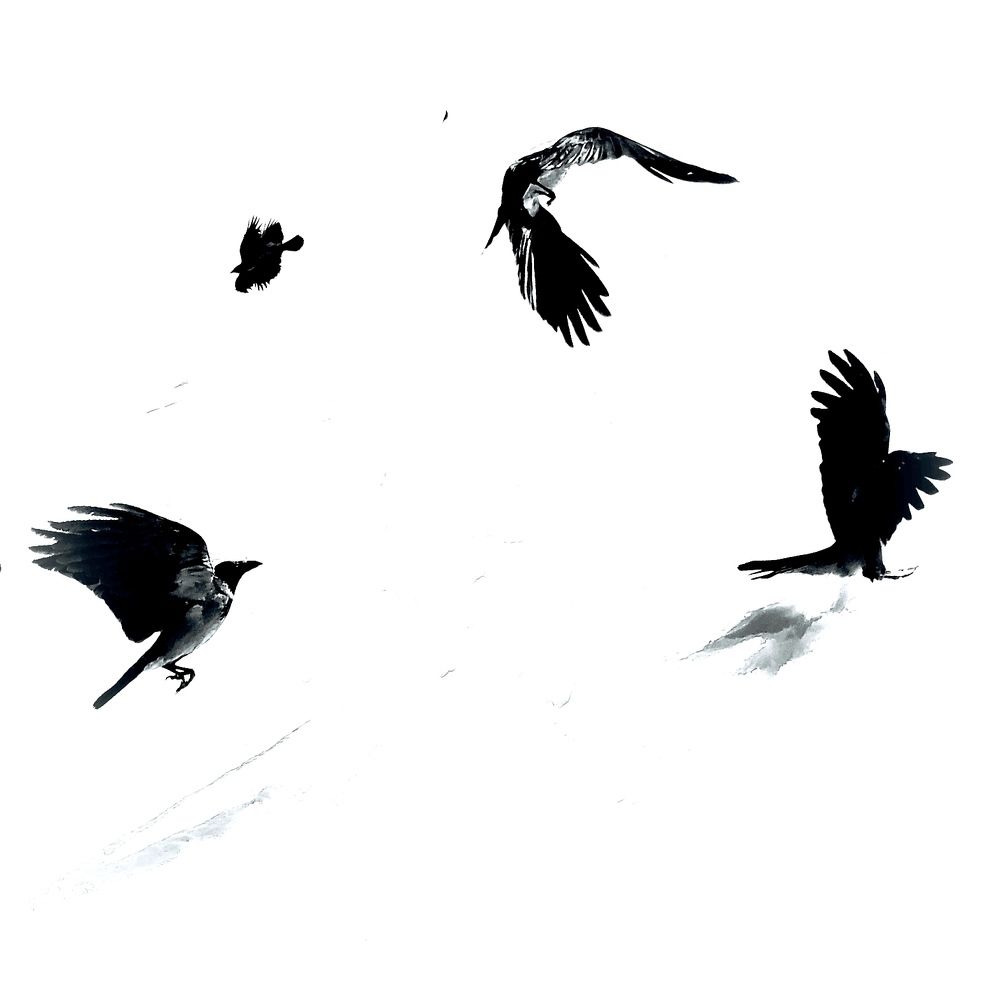 Photograph by Марина Хохрякова