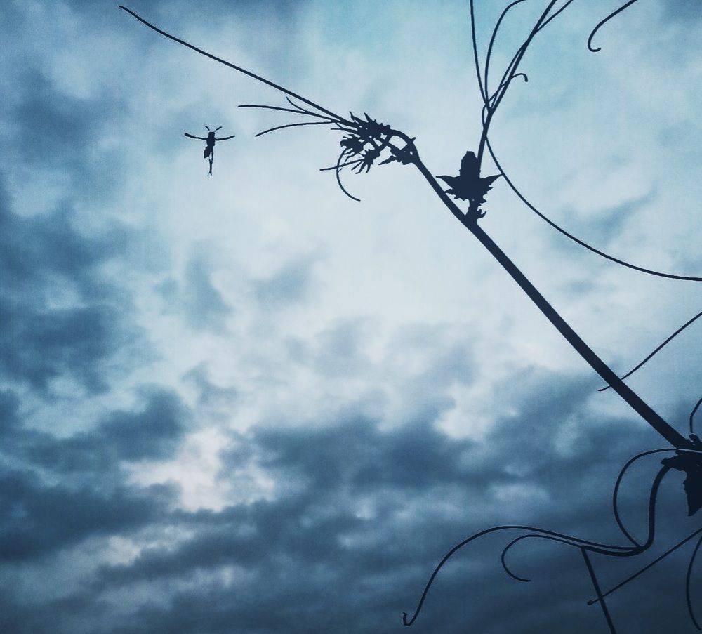 Photograph by VANDNA SINGH
