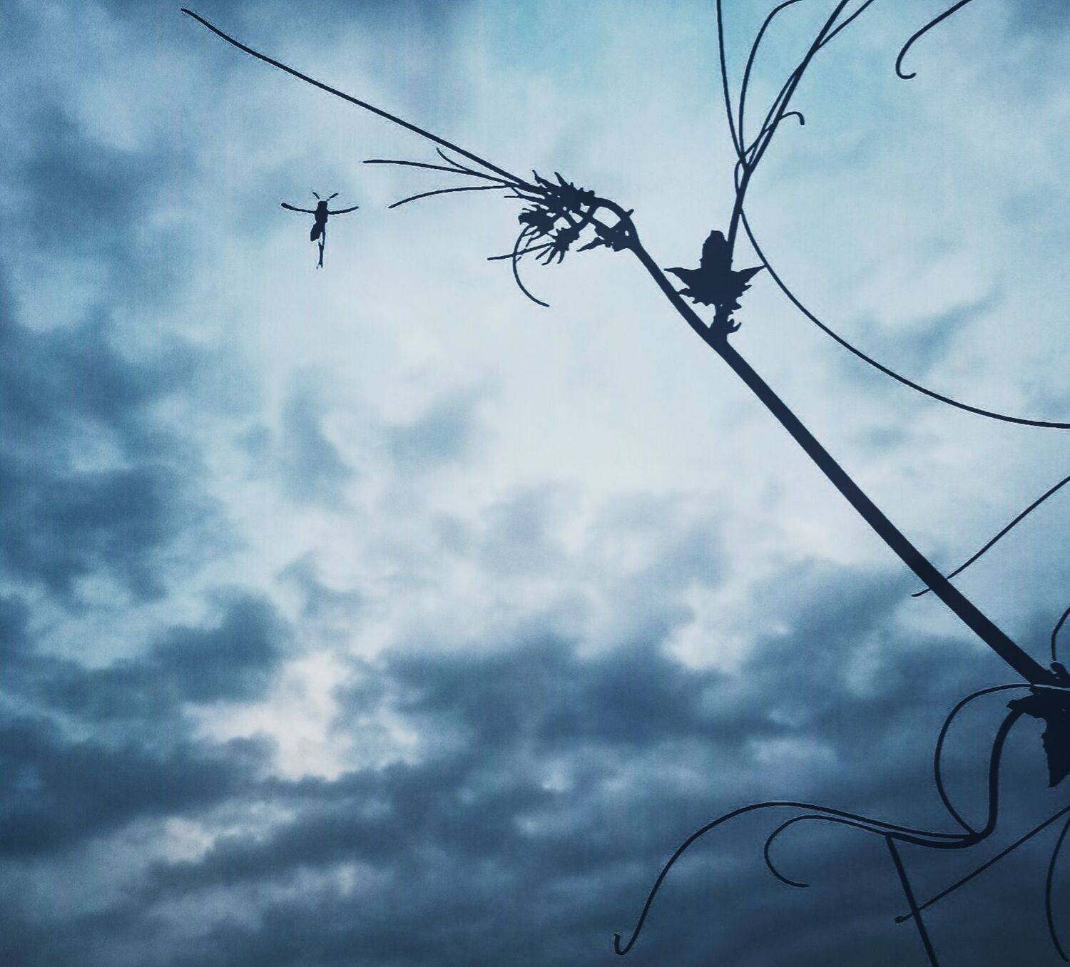 Photo #8475003