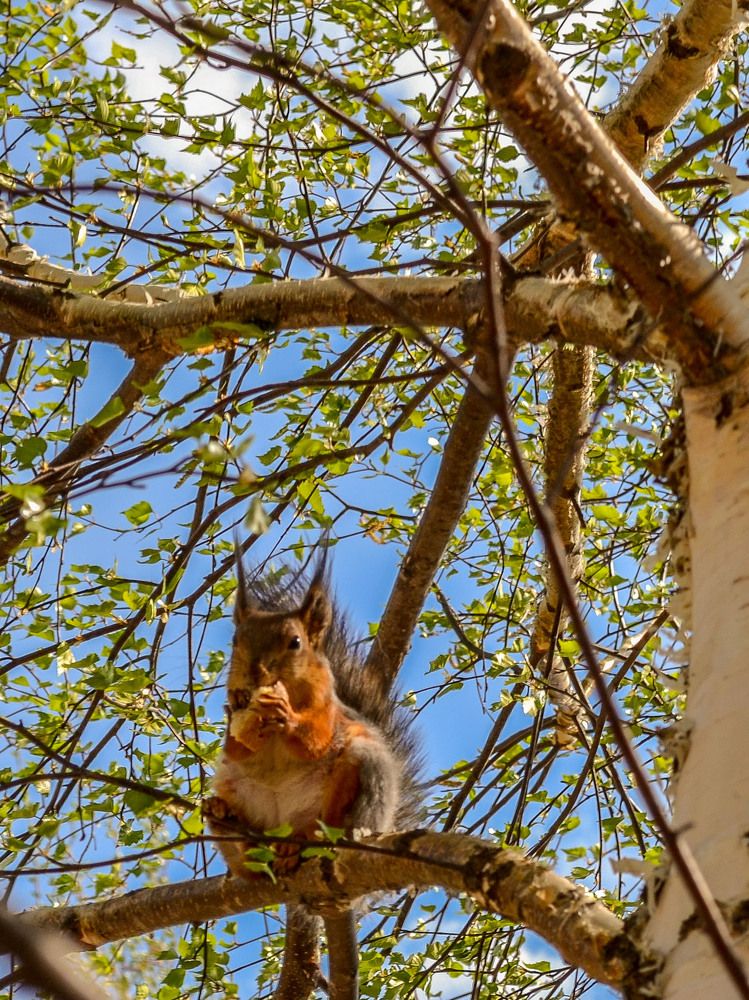 Photograph by Оксана Радзиевская