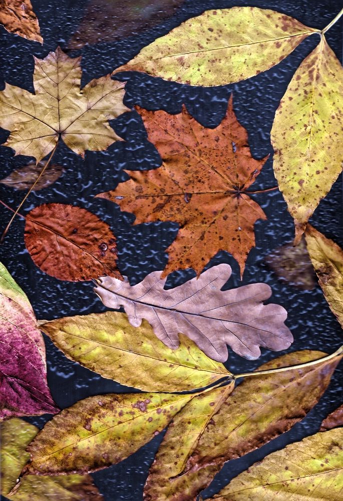 Осеннее настроение.