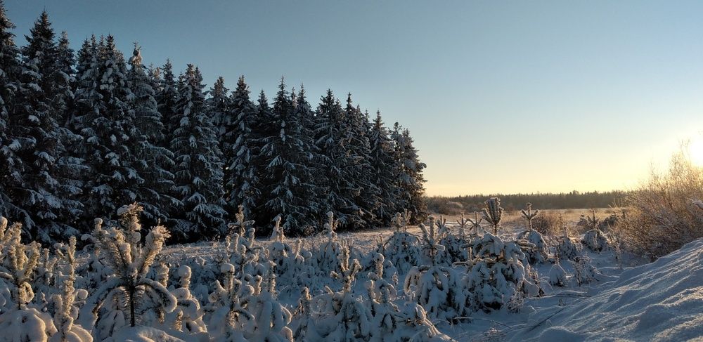 Photograph by София Корепанова