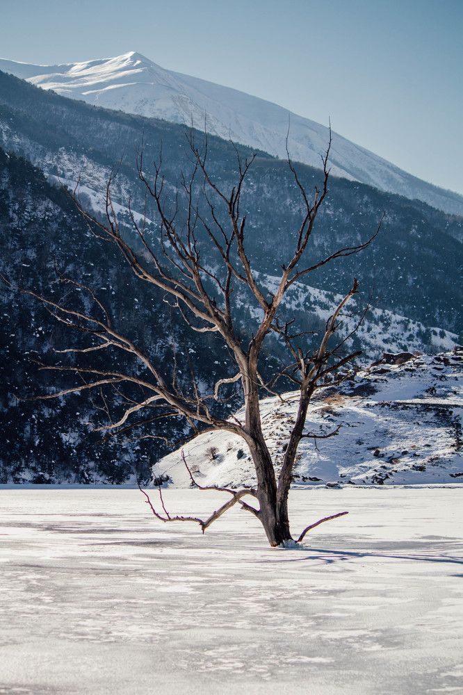 Photograph by Сергей Афанасьев