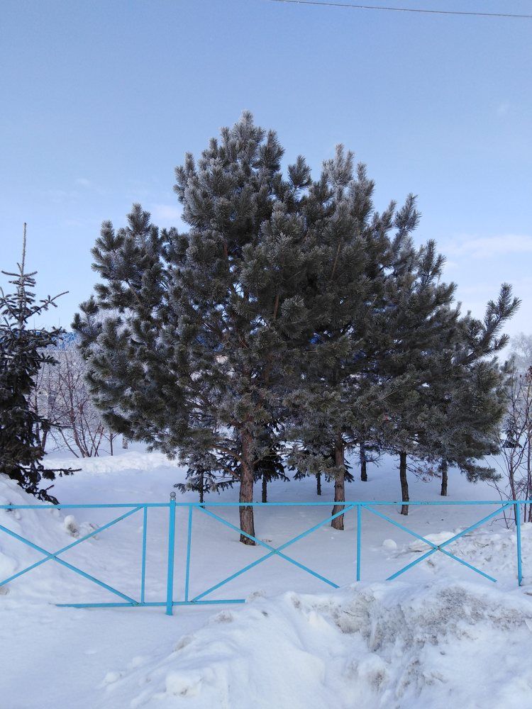 Photograph by Надежда Яковлева