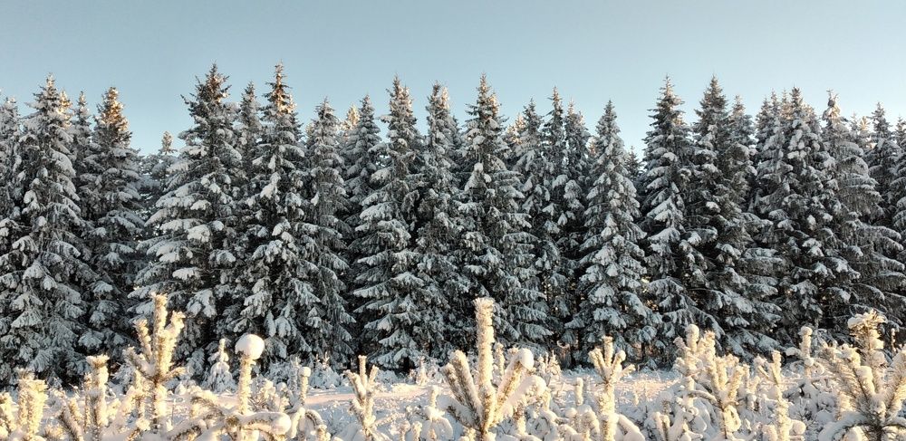 Photograph by София Корепанова