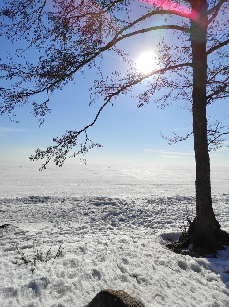 Photograph by Марина Хохрякова