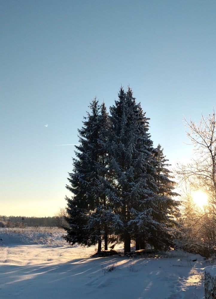 Photograph by София Корепанова