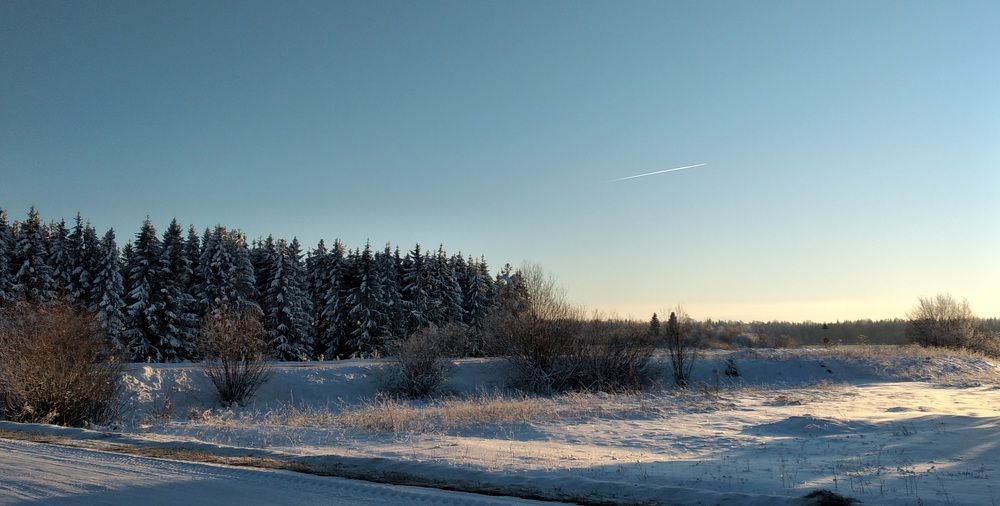 Photograph by София Корепанова