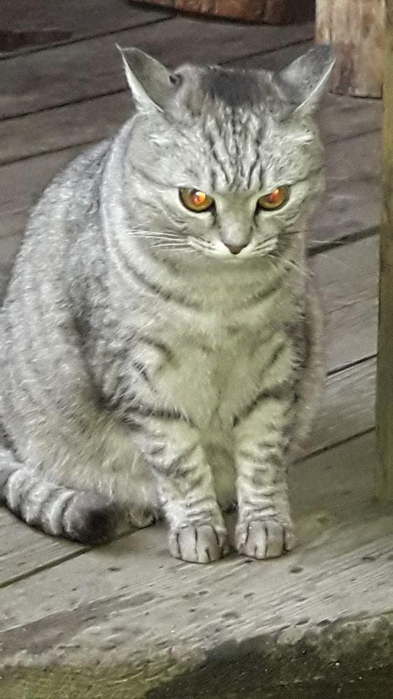 очень сосредоточенный