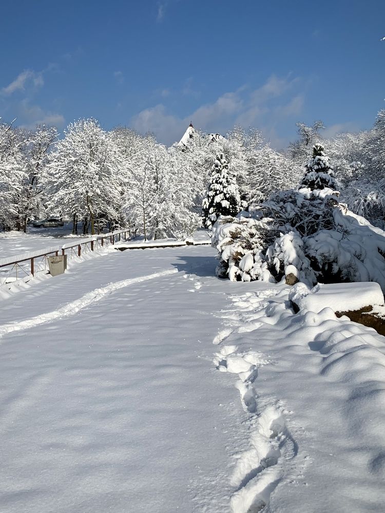 Photograph by Татьяна Семёнова