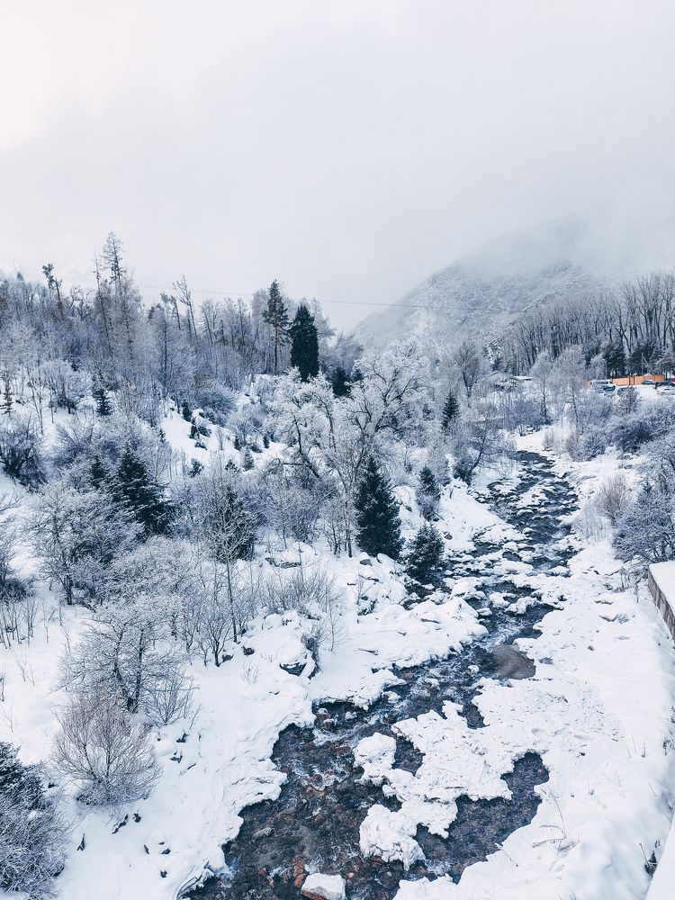 Photograph by Родионова Ксения