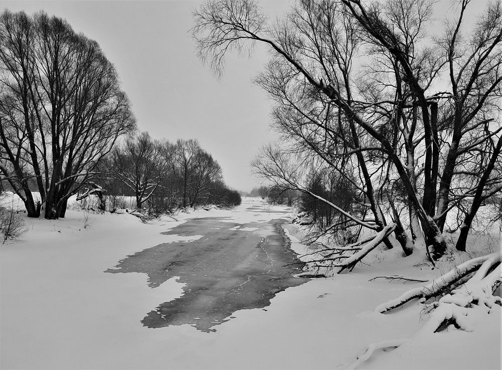 Фотография автора Елена Пикатова