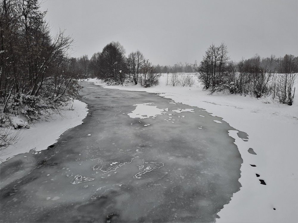 Фотография автора Елена Пикатова