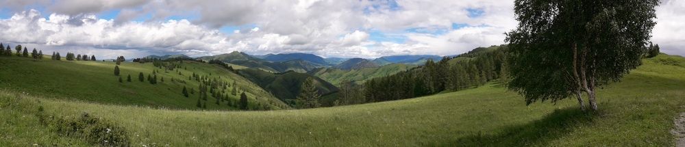 Photograph by Елена Алешкевич