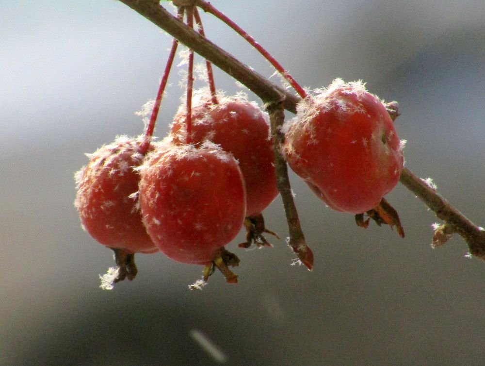 Photograph by Татьяна Смирнова