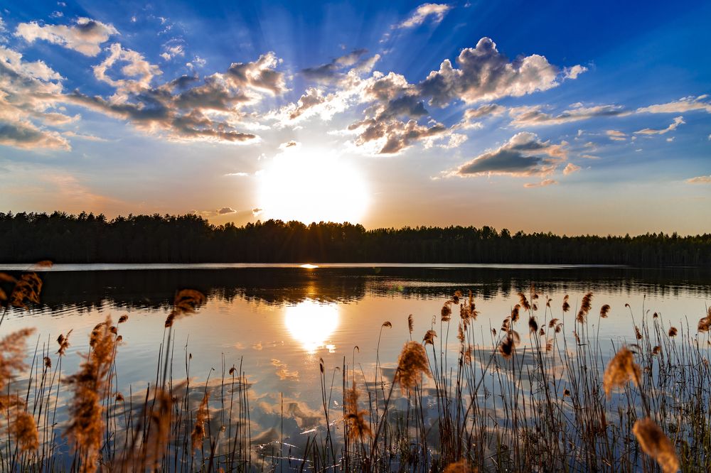 Photograph by Анастасия Малахова