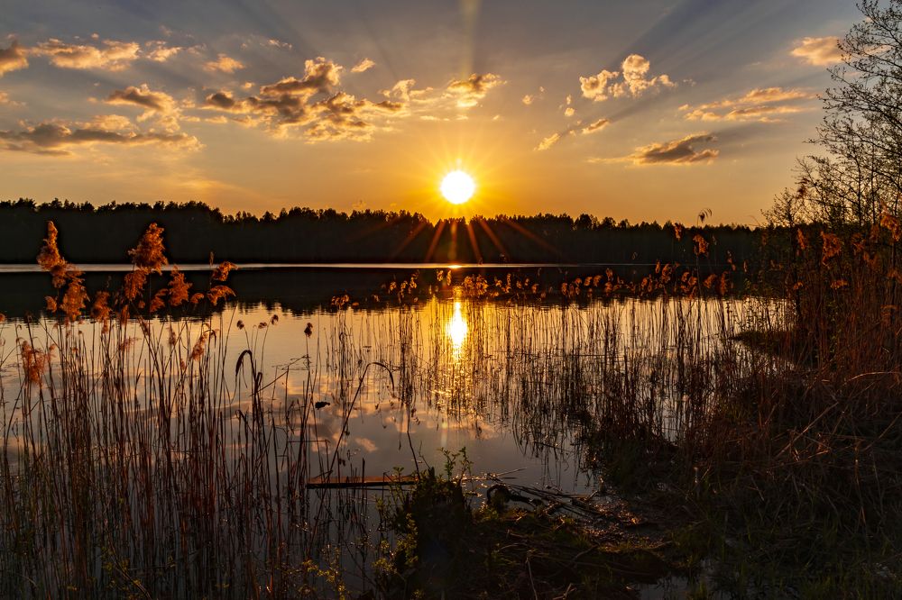 Photograph by Анастасия Малахова