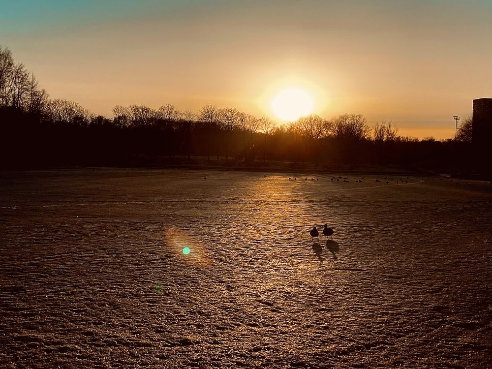 Photograph by Ольга Барулина