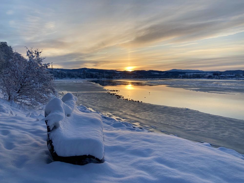 Let's sit here in the spring