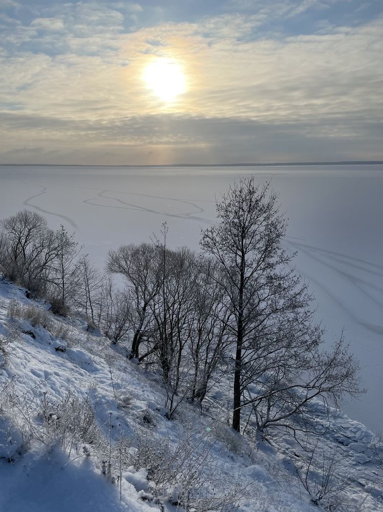 Фотография автора Ирина Мосько
