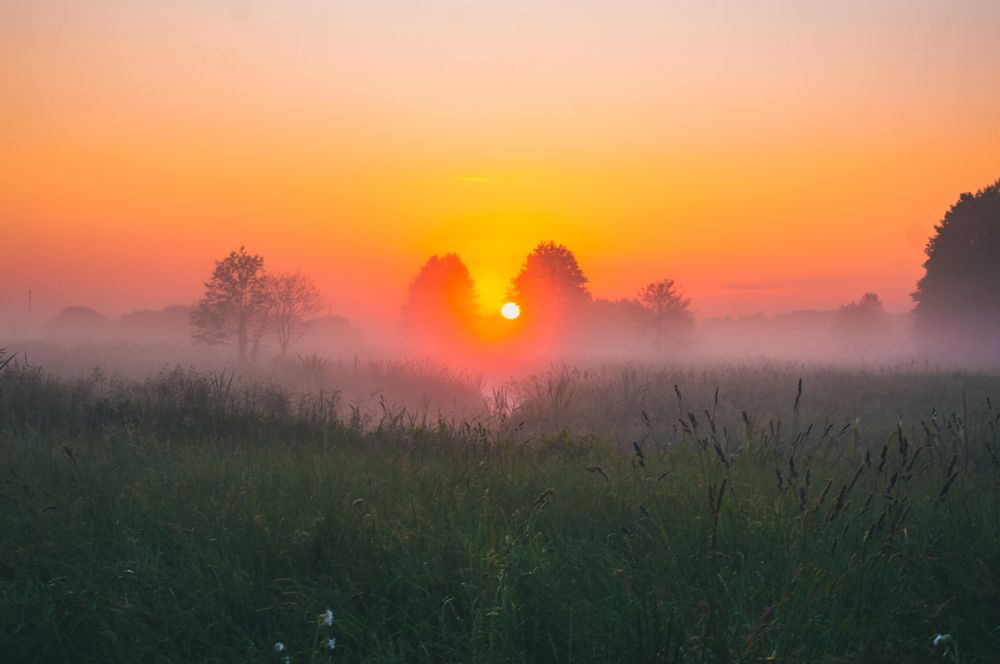 Photograph by Ирина Кочергина