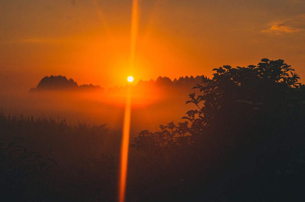 Photograph by Ирина Кочергина