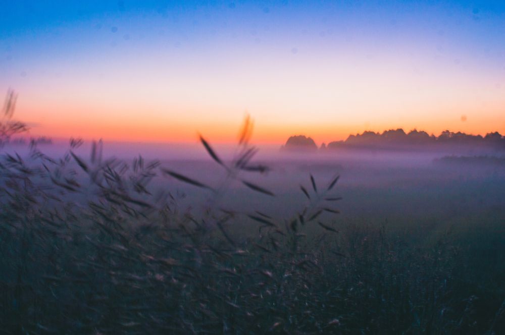 Photograph by Ирина Кочергина