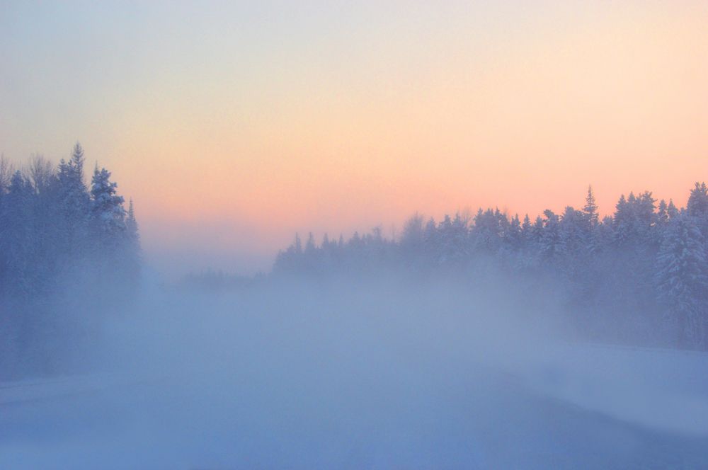 Photograph by Светлана Муравьева