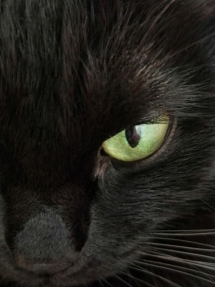 Фотография автора НАТАЛЬЯ СЕВЕР