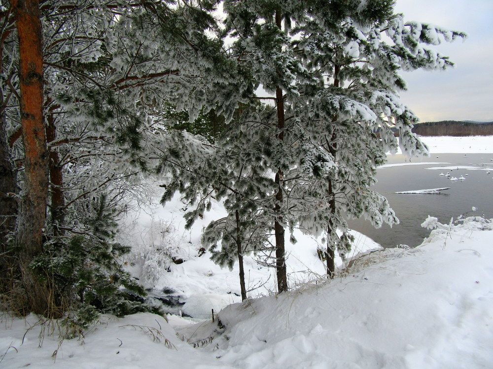 Photograph by Ирина Осипова