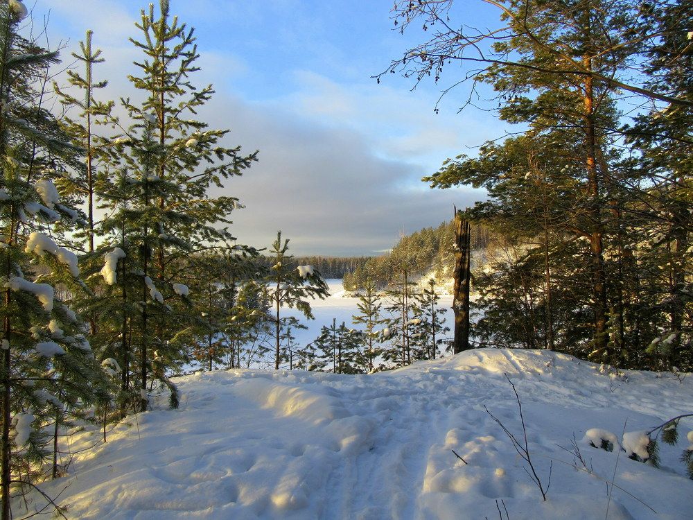 Photograph by Ирина Осипова